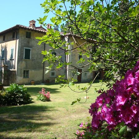 Bed & Breakfast Villa Masini-Luccetti Pietrasanta Εξωτερικό φωτογραφία