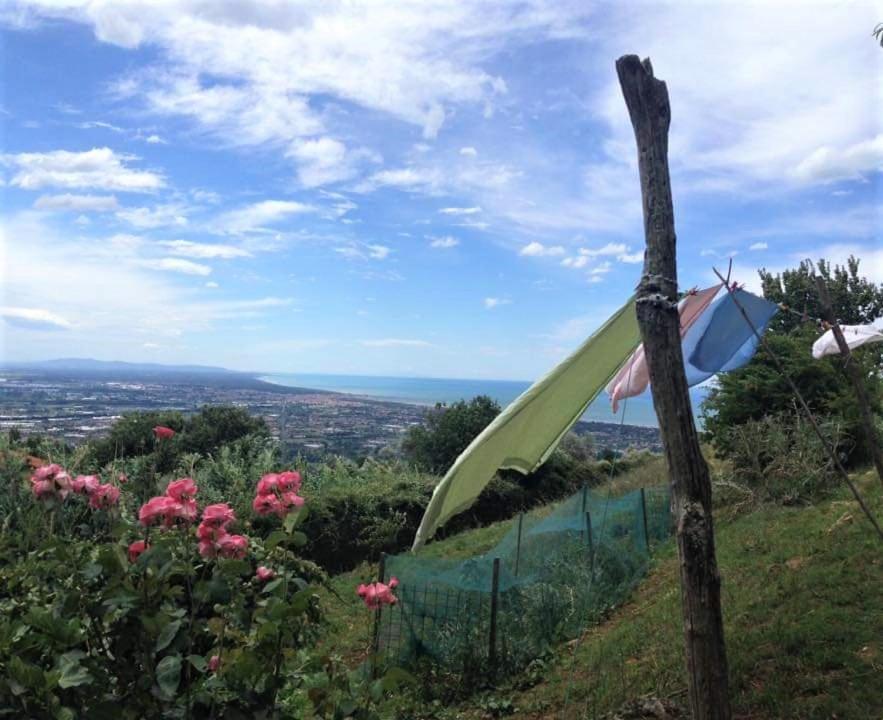 Bed & Breakfast Villa Masini-Luccetti Pietrasanta Εξωτερικό φωτογραφία